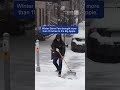 Fly Through Fern In Snowy NYC