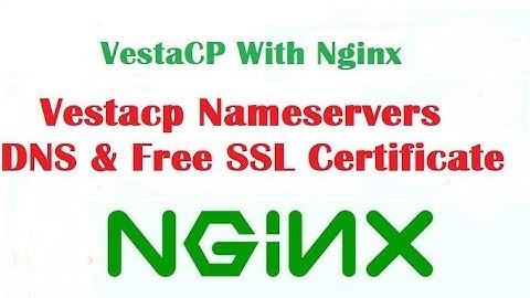 How to Set up Vestacp Nameservers DNS & Free SSL Certificate