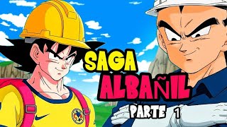 SAGA ALBAÑIL: El despertar de Goku