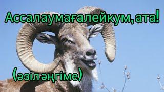 видео: Ассалаумағалейкум, ата! әңгіме авторы Оспанхан Әубәкіров#аудиокітап картинка: Ассалаумағалейкум, ата! әңгіме авторы Оспанхан Әубәкіров#аудиокітап