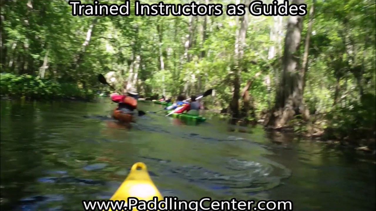 Cypress Forest Kayaking Tour The Paddling Center, Kayak Tours and