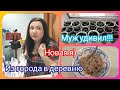 Новая я. Ужин от мужа. занимаюсь с рассадой!