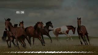 🎵Gold in Them Hills🎵 - Nathan Moore No Copyright Music