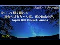 【自然環境音 | 癒し】田舎の実家の夜、鈴虫の鳴き声 | 夏の終りのお婆ちゃん家、懐かしいふるさとの夜の虫の音 | クリアーで高音質なコオロギや鈴虫の鳴き声