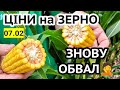 Ціни на зерно🌾 07.02! Пшениця 8000, Соняшник 19750. Чому фермери двічі платять за землю?