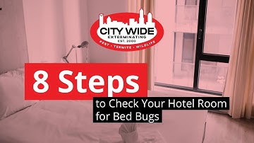8 Steps to Check Your Hotel Room For Bed Bugs