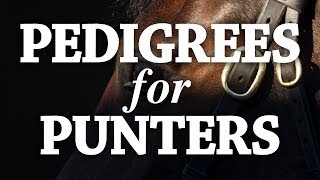 Pedigrees For Punters