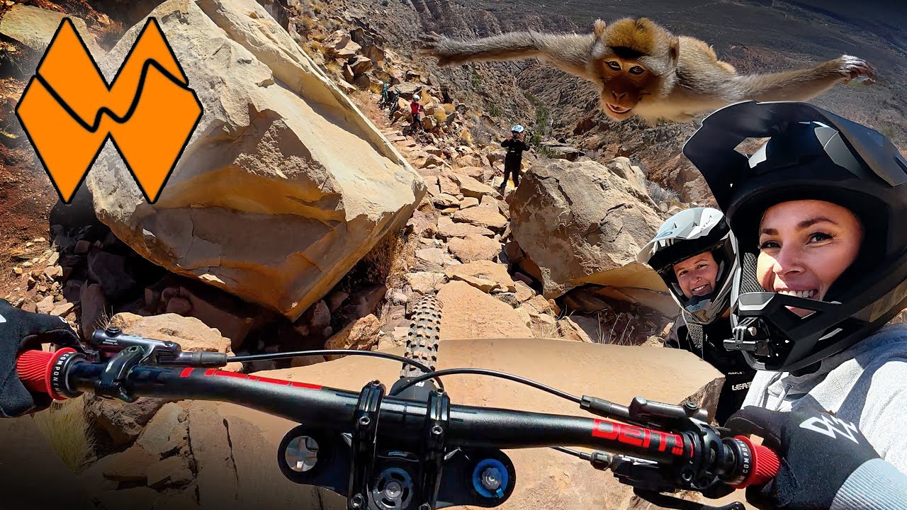 Pro Tech Trail Flying Monkey — сколько возможностей я смогу освоить?