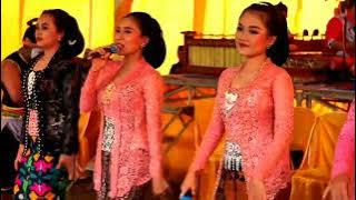 PANGGAH GAYENG//PAMBUKO SEKAR MADU TAYUB'e