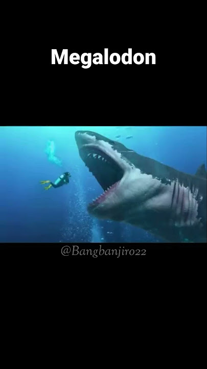 Sudah lama punah hewan laut ini tertangkap kamera part2 #faktahewan @Bangbanjiro22 #shorts