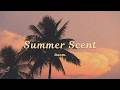 Room. - Summer Scent (Official Lyric Video)