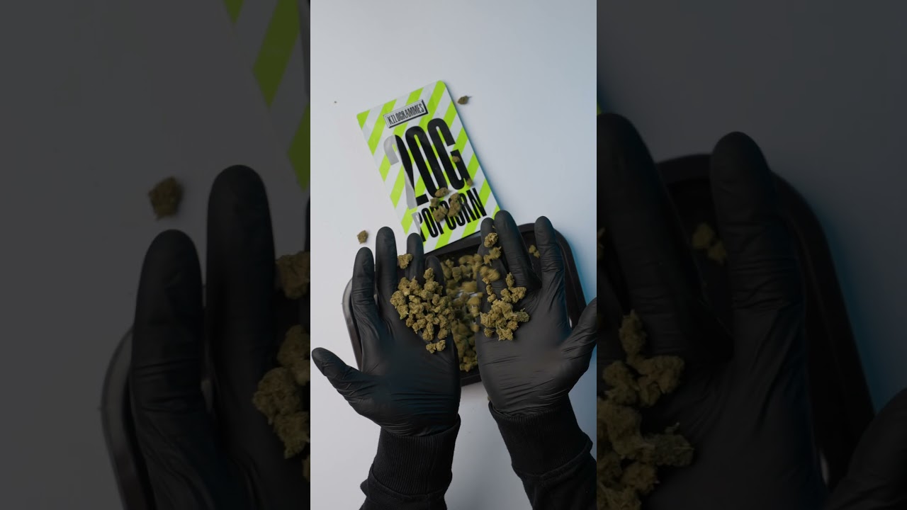 Pack pop corn 20 G – Fleur de CBD parfumée en format mini | Kilogrammes