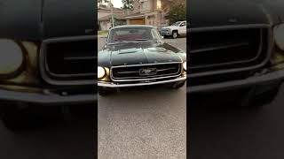 1967 Ford Mustang Fastback Raven Black 289 v8