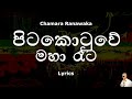 Chamara Ranawaka Pitakotuwe Maha Rata | පිටකොටුවේ මහා රෑට (Lyrics)