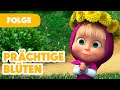 Mascha und der br  neue folge 2024  prchtige blten  folge 96