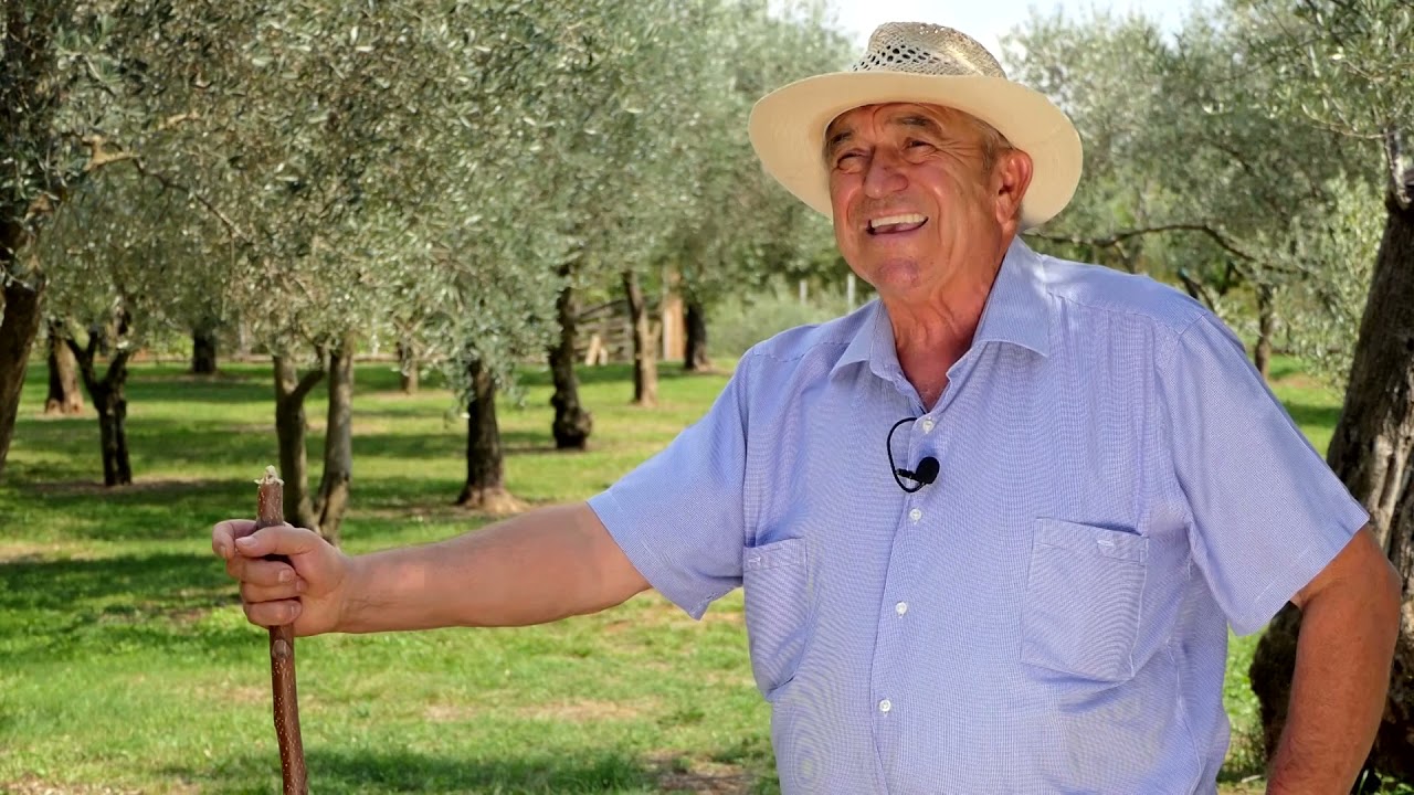 Domaćine kako radiš 27.09.2021. Gajenje maslina, Sveti Stefan, Kotor