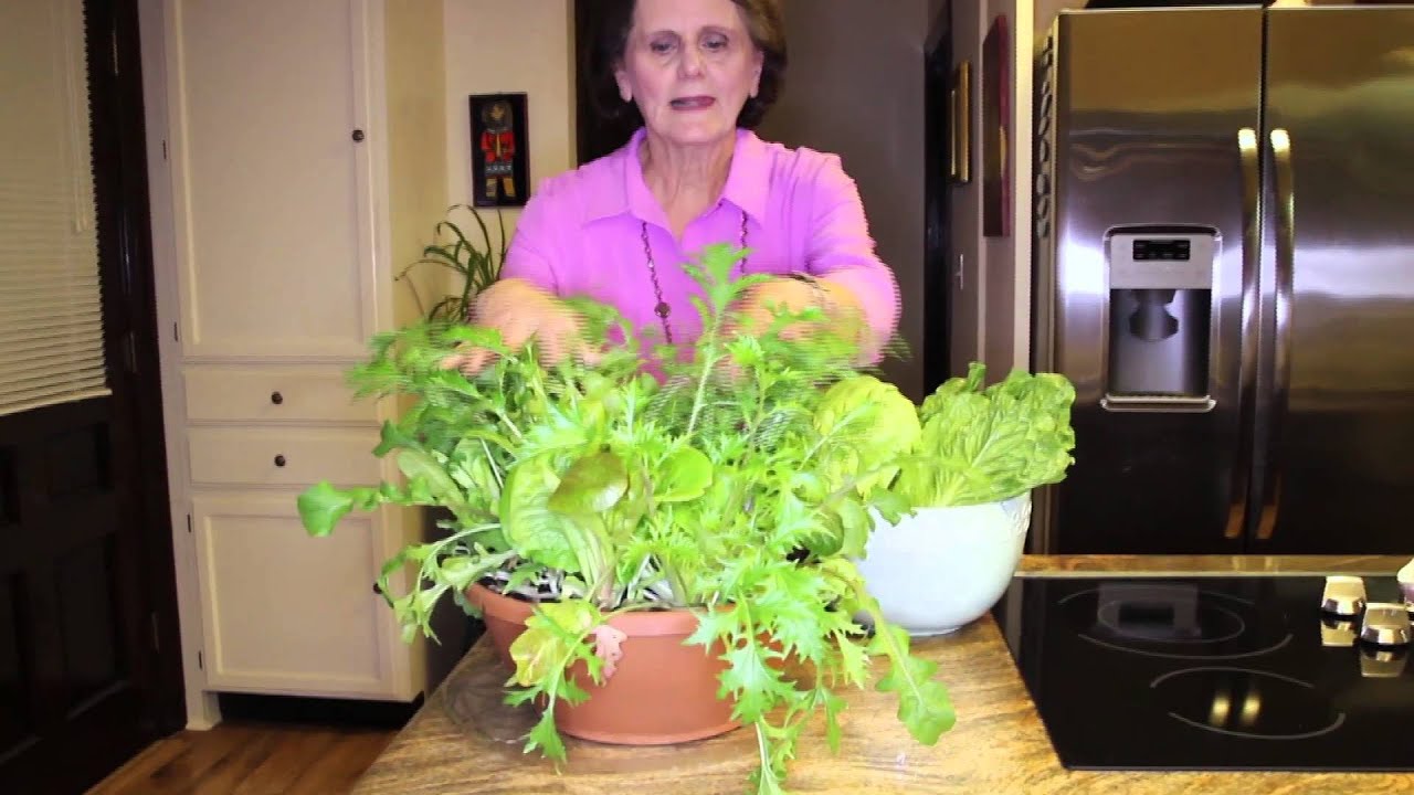Mama Yum Yum's Kitchen Episode 3 "Lettuce" Entertain You YouTube