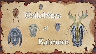 Trilobites of Kaimere