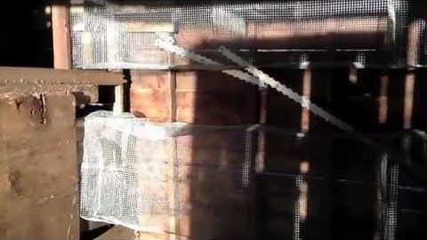 Rabbit Hutches Part 2