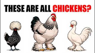 All the Different Chicken Breeds You Didn't Know Existed