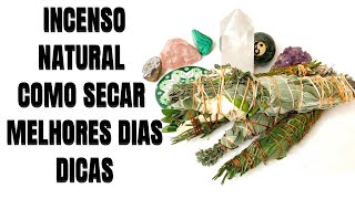 INCENSO NATURAL DE SÁLVIA | DICAS DE SECAGEM