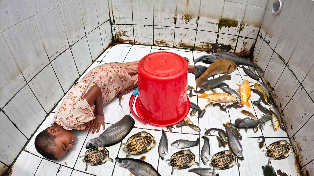 Why The Girl Sleeping! Aquarium Fish Tank 4K Ultra HD