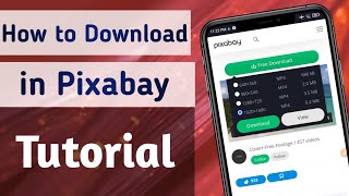 How to Download Photos & Videos in Pixabay App screenshot 4