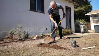 How to get rid of Gophers