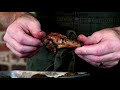 End of video