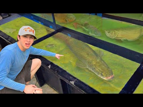 Ich hab den größten Fisch im Laden gekauft!