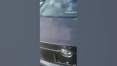 IMG 0042