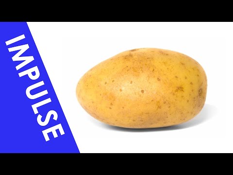 The Impulse of