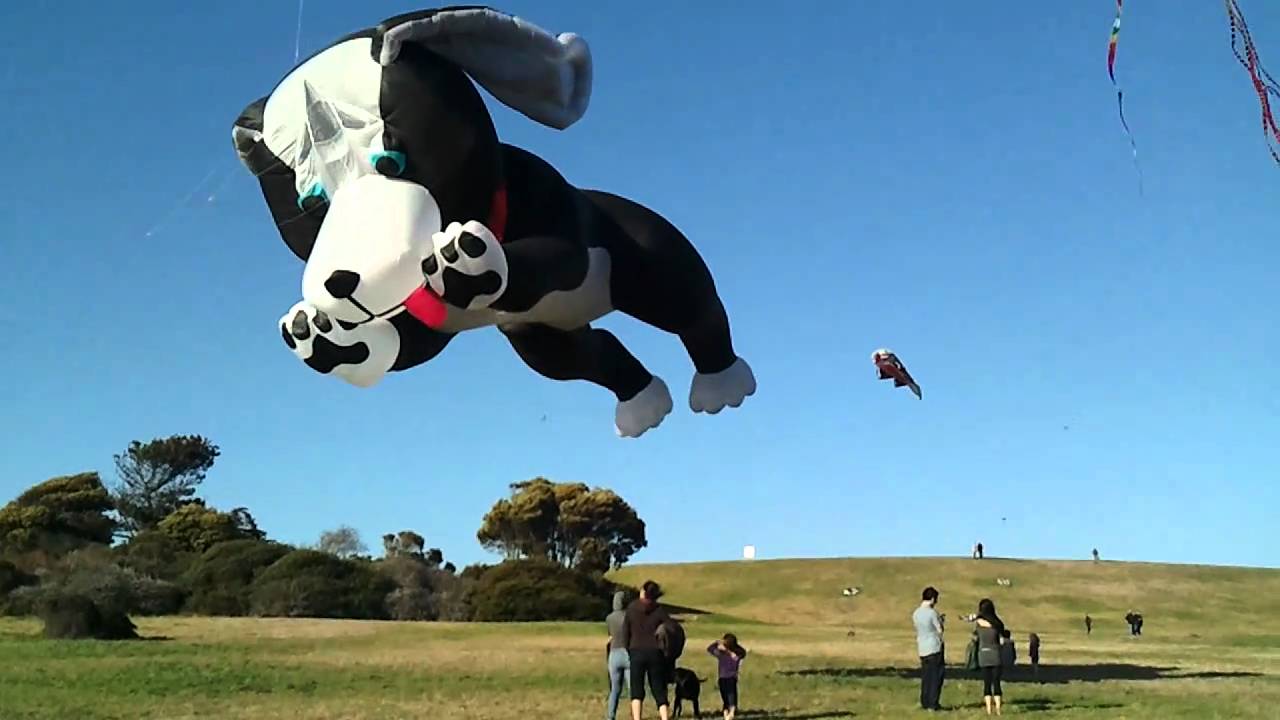 Dog Kite YouTube