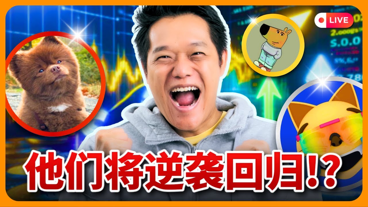 这些迷因币强势回归？！爆涨行情真的要来了！These Memecoins Are Making a Massive Comeback?!