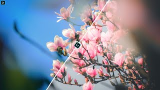 Angel View Flowers Preset | Lightroom Mobile Photo Editing Tutorial | Free Download Preset screenshot 5