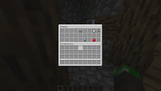 Minecraft Java: Random seed of the day #33! Net Worth