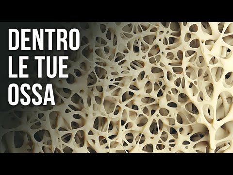 Video: Cos'è la fisi dell'osso?