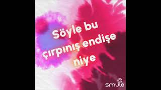 Kim Bilir Kaç Kişi İbrahim Şakak