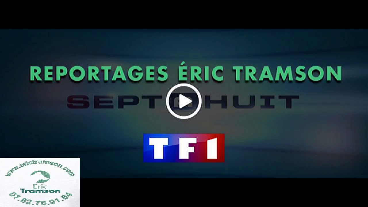 PROPRIETAIRES DE CHIENS/ERICTRAMSON/EDUCATEUR/DRESSEUR CANIN/CHIEN - YouTube