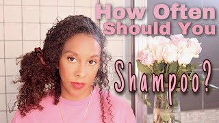 How Often Should You Wash Your Curly Hair / Low Porosity Hair / Hair Washing Hacks