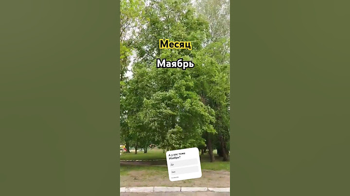 Маябрь, погода сошла с ума.