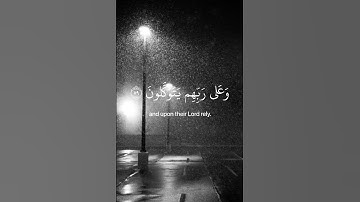 الذين صبروا وعلى ربهم يتوكلون # آيات مريحة # تلاوة هادئة # عبد الرحمان مسعد