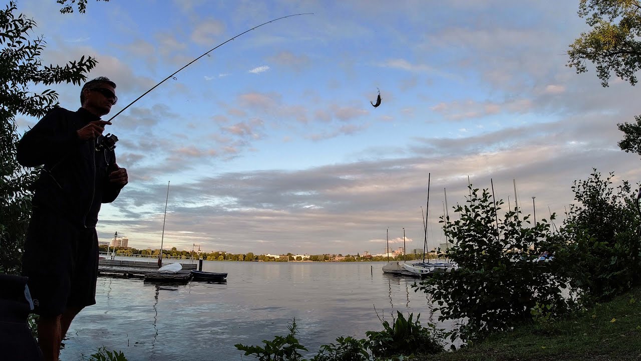 perch fishing in hamburg's alster lake YouTube