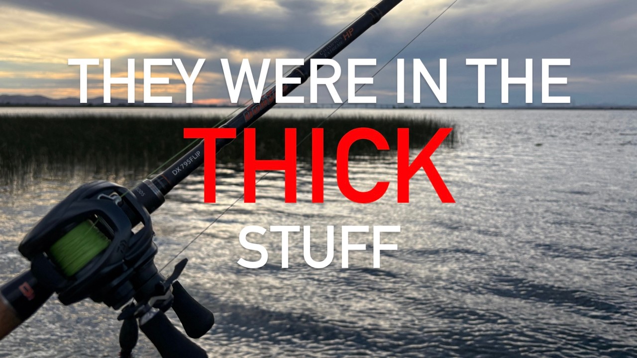 Delta Bass Fishing – They were in the thick stuff