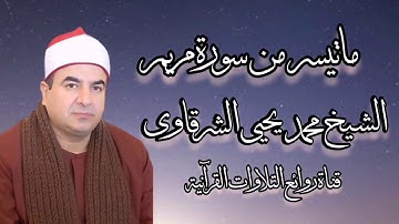 سورة مريم - الشيخ محمد يحيى الشرقاوى