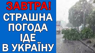 ПОГОДА НА 6 ТРАВНЯ - ПОГОДА НА ЗАВТРА