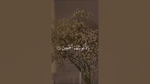 القرآن الكريم بصوت الشيخ هزاع البلوشي ❤#سورة الحجر #explore #راحة_نفسية #فلسطين_حرة