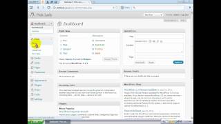 Wordpress Tutorial For Beginners Part 2.1: Viewing Posts