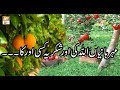 Watch Paigham e Quran - 11th September 2018 - ARY Qtv Online In HD