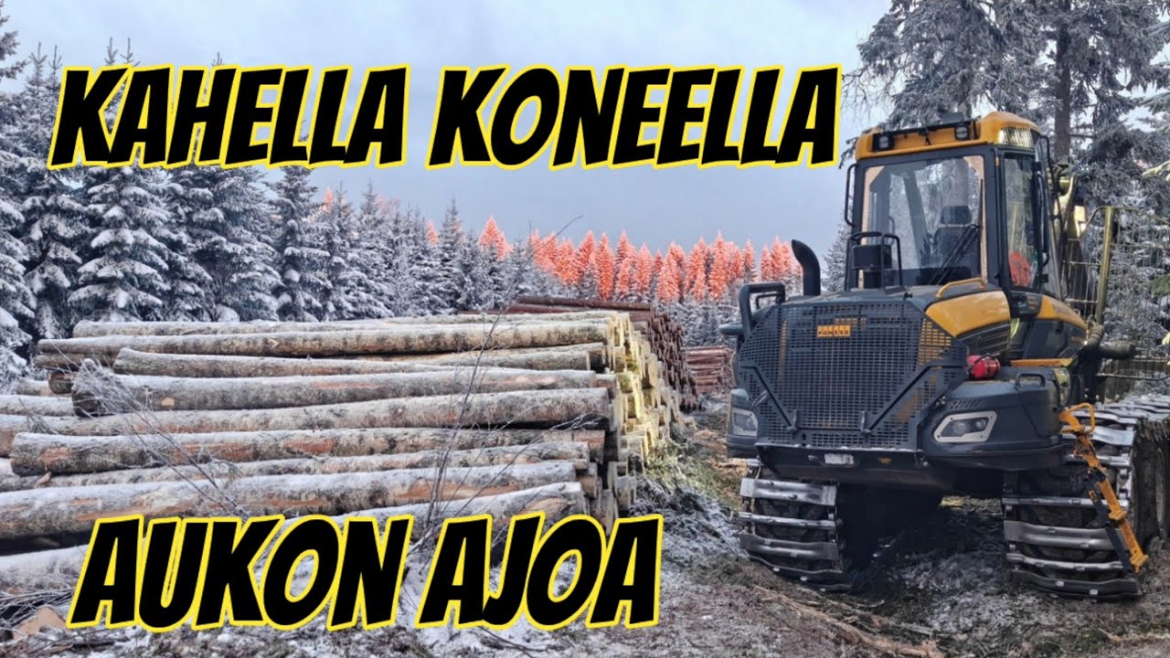 Tukkipuuta aukolta kahdella koneella || Ponsse Buffalo